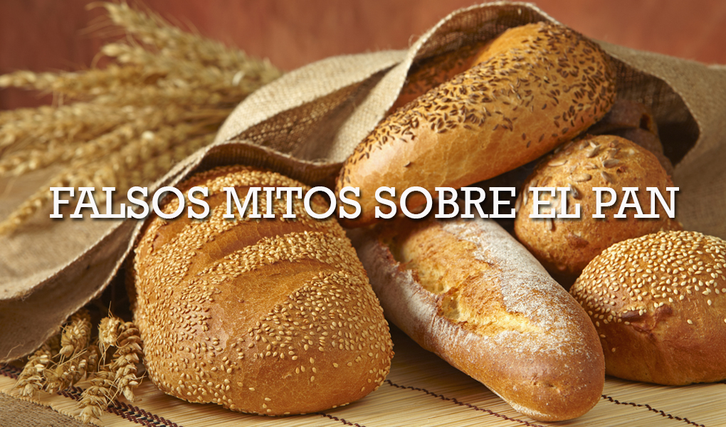la miga de pan engorda más que la corteza Archivos - Mundopán